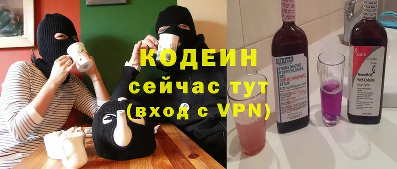 купить закладку  Мурино  Codein Purple Drank 