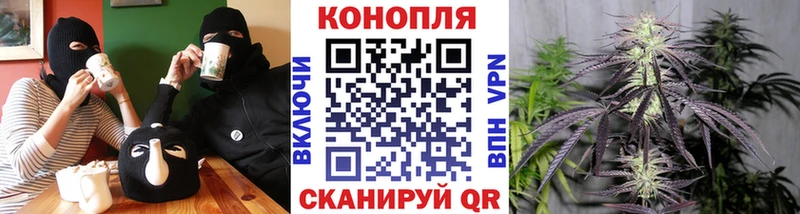 Бошки марихуана индика  нарко площадка Telegram  Мурино  где можно купить наркотик 