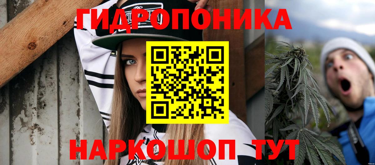 Бошки Шишки сатива  Вход с VPN  Мурино  Марихуана White Widow  Канабис SATIVA & INDICA 